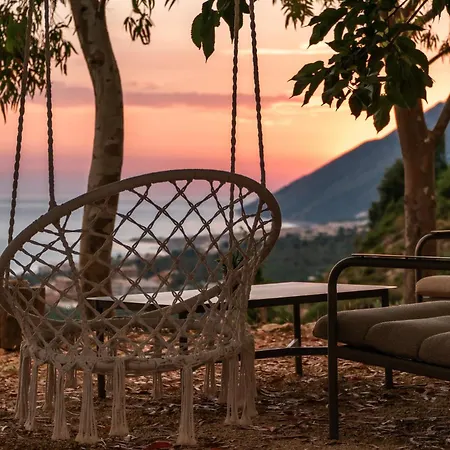 Casablanca Sunset Garden *